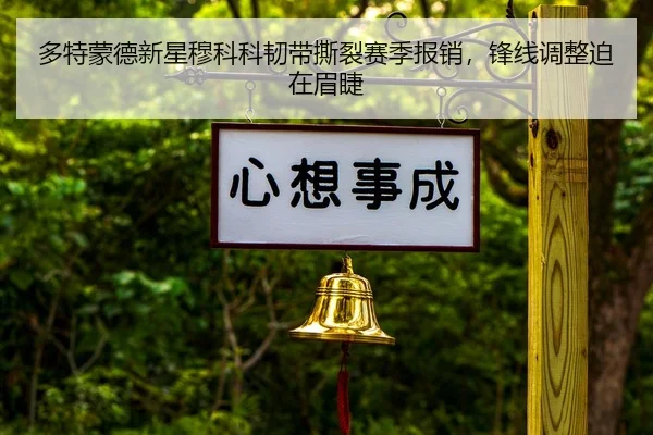 多特蒙德新星穆科科韧带撕裂赛季报销，锋线调整迫在眉睫 | hth