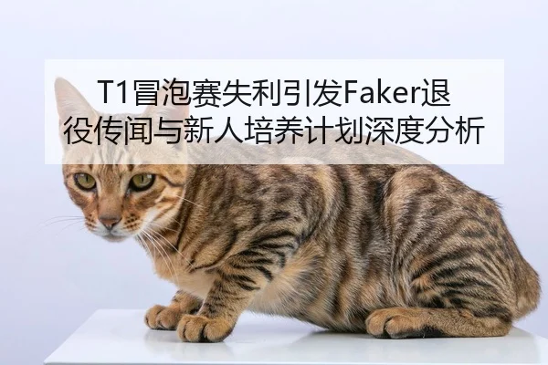 T1冒泡赛失利引发Faker退役传闻与新人培养计划深度分析（hth）